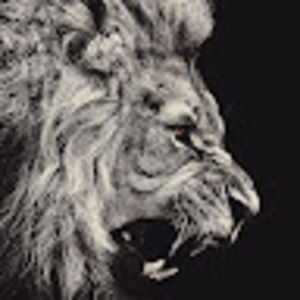 Meet your Posher, Cristian